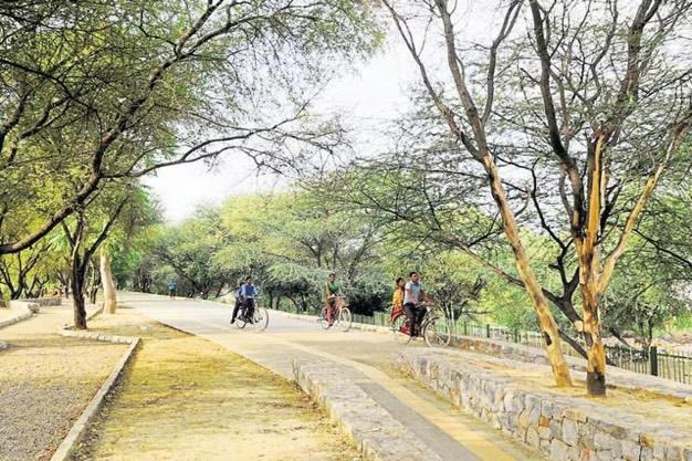 Chakkarpur Bundh