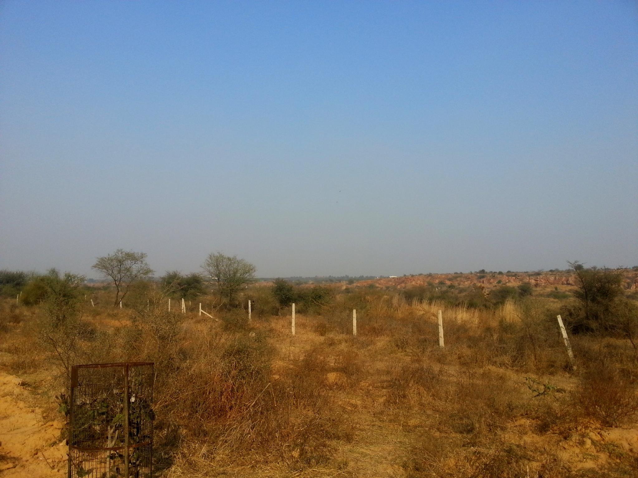Aravalli Biodiversity Park